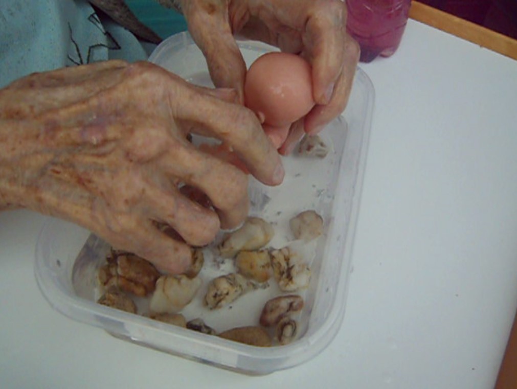 Snímek obrazovky 2024-07-20 140020