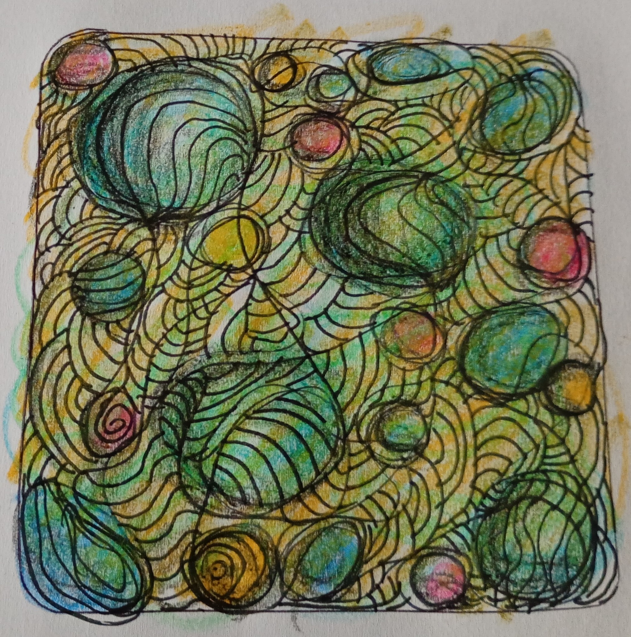 528147400_1308552384174632_6574603640155070381_n