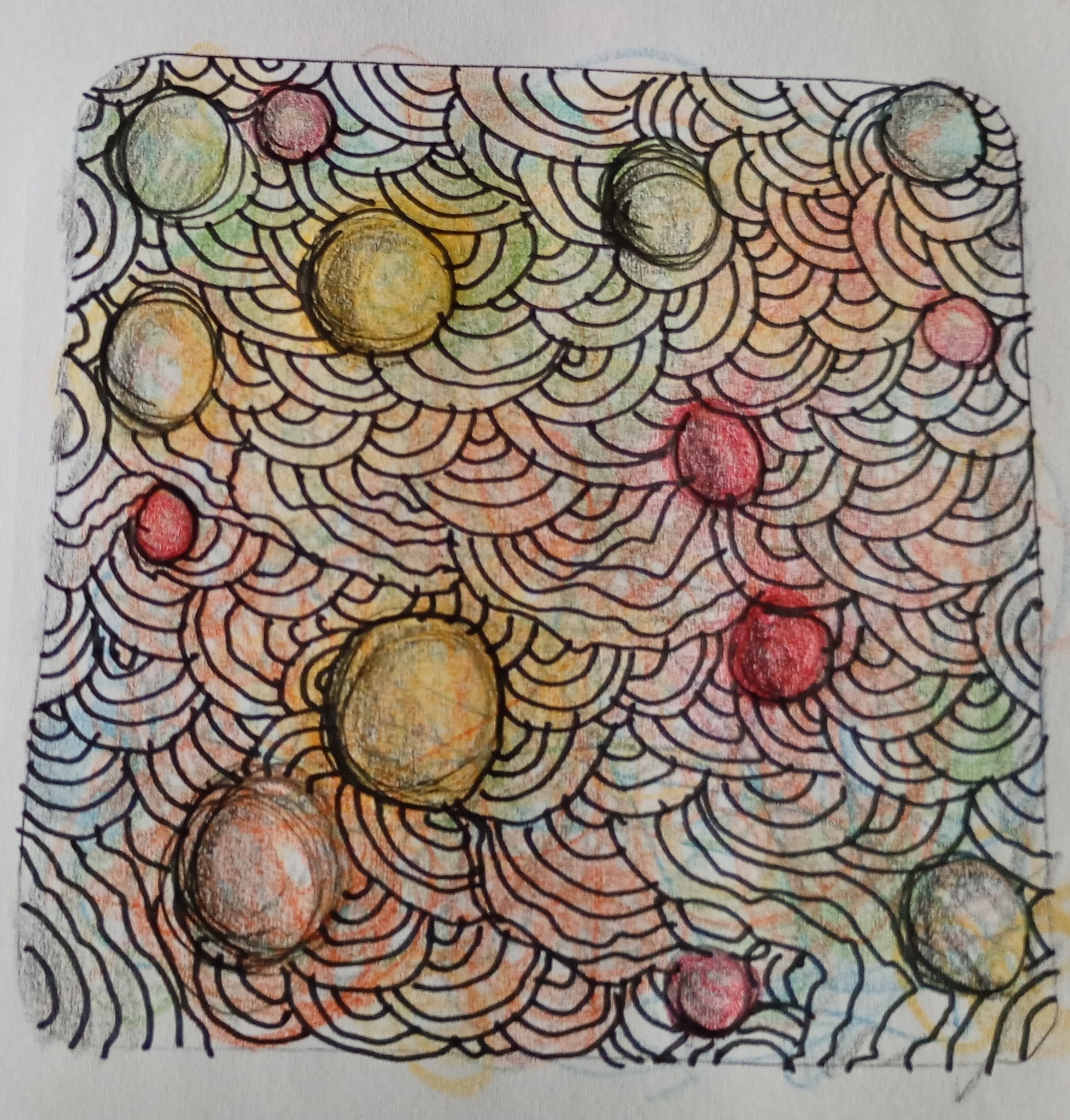 528230459_1308552370841300_8277528685147606201_n