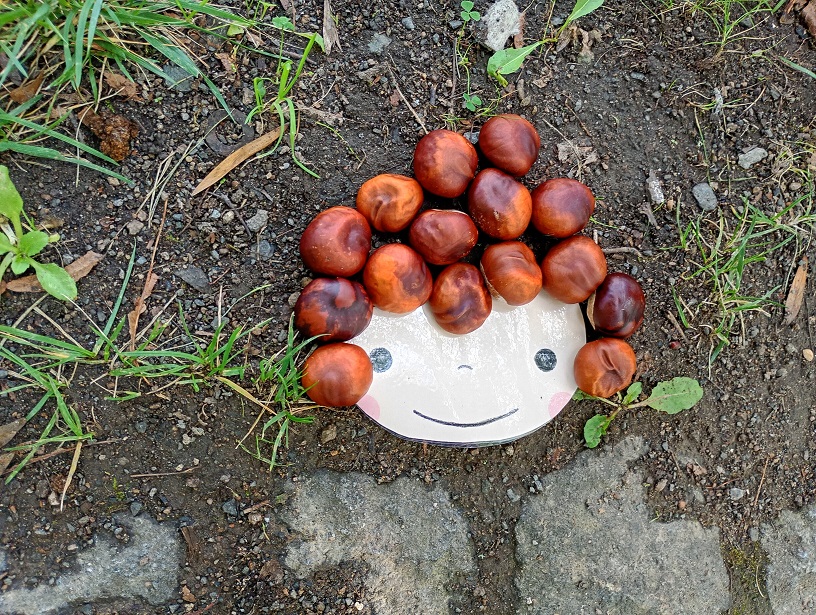 IMG_20250928_131212344_HDR