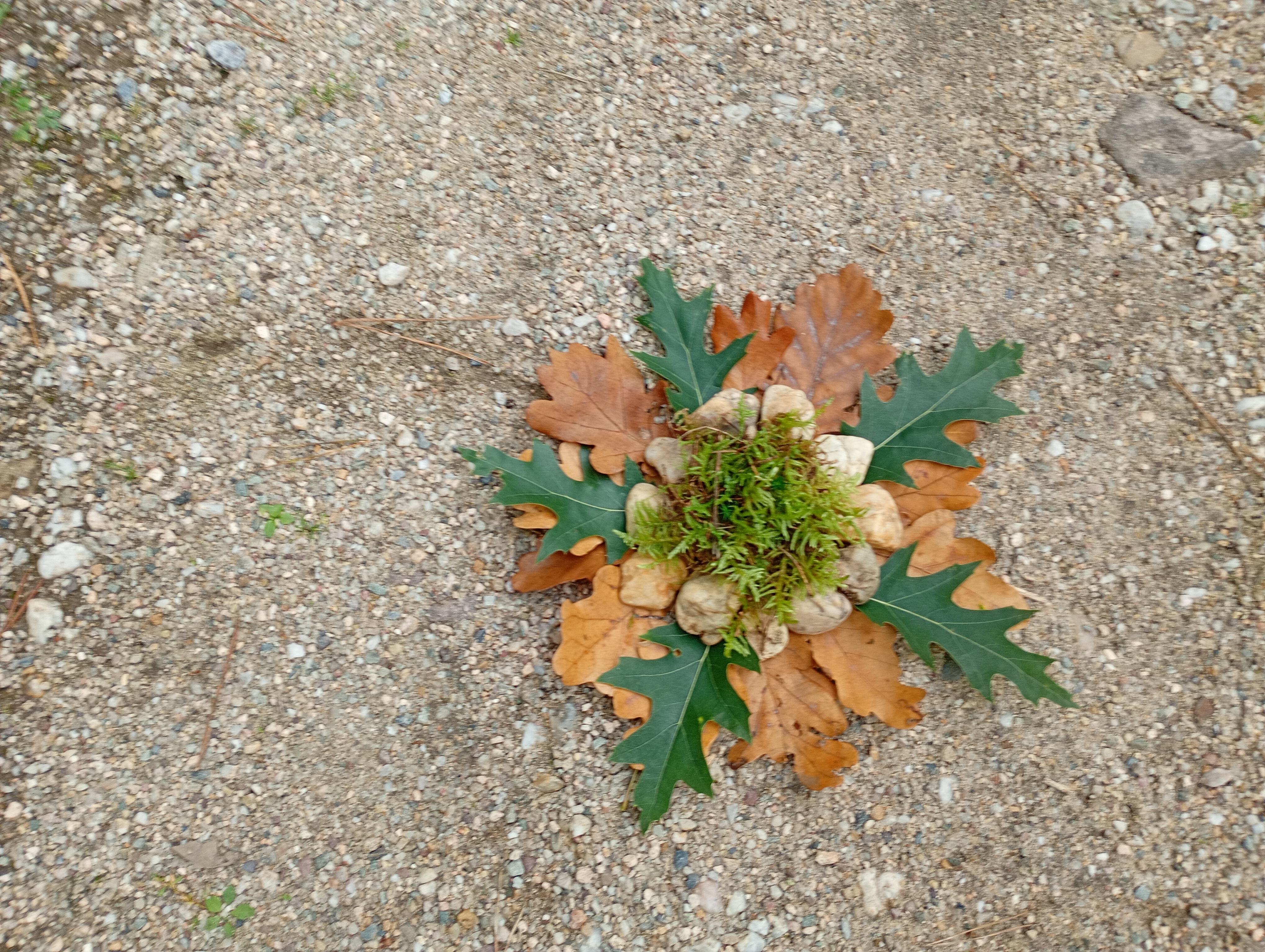 IMG_20250927_162404887_MFNR