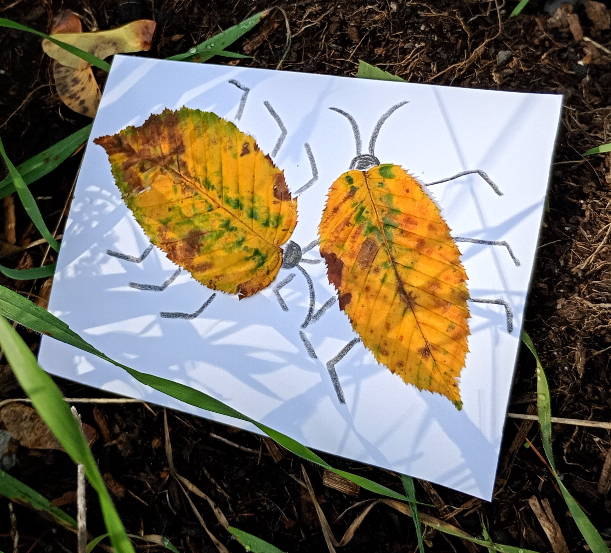 IMG_20250928_111734740_HDR