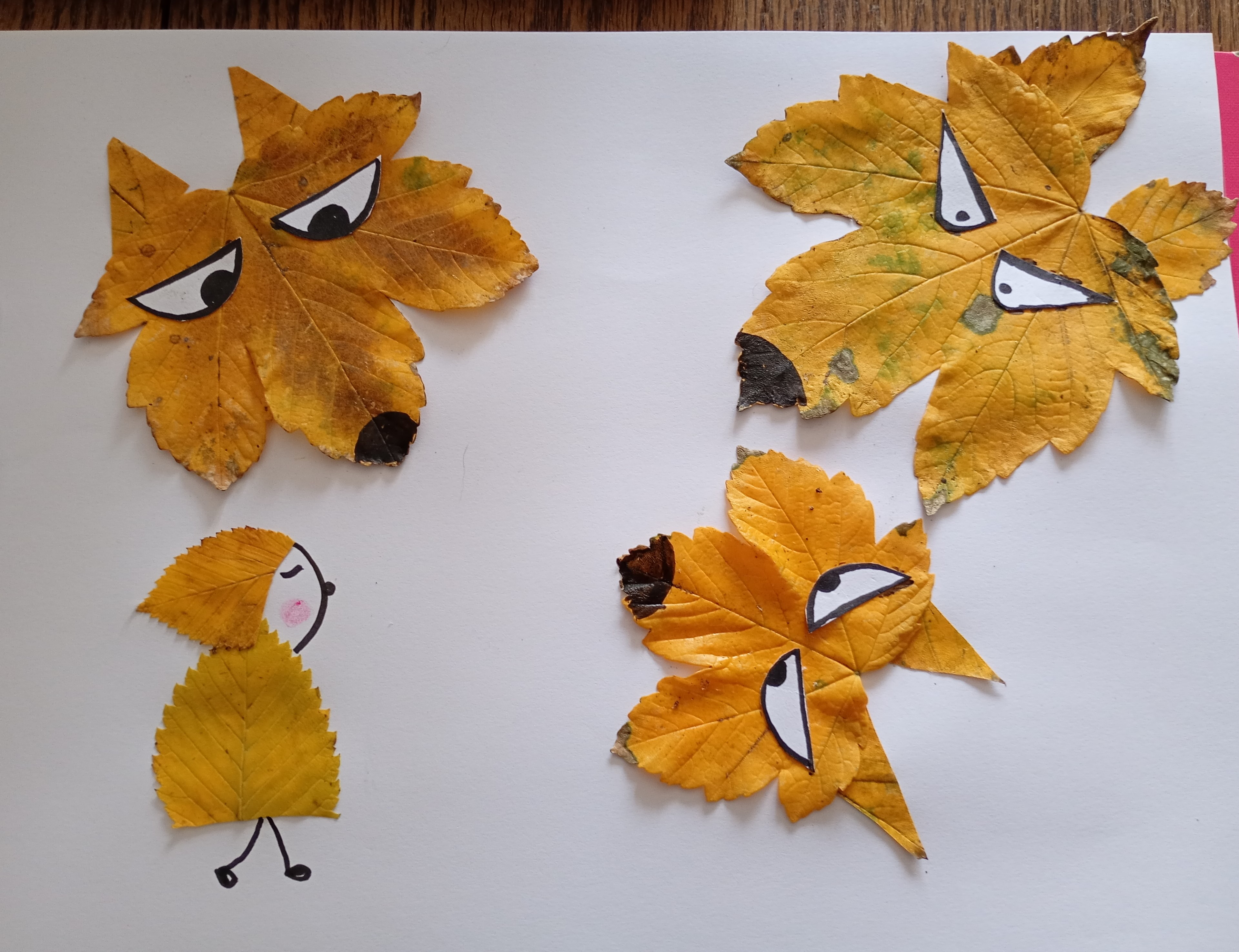 IMG_20251007_135045849_MFNR